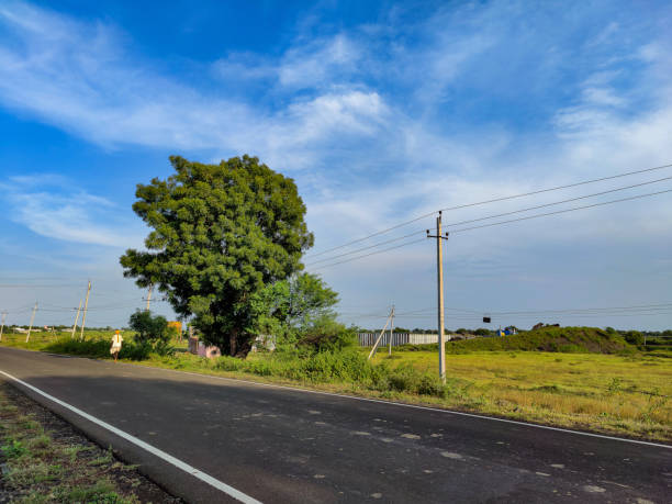 Thenka Yekkaru Main Road to Thangadi Hosamane Gampadabailu Shebaruru Kudu Road (Public Work Department Mangalore Division)
